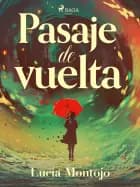 Pasaje de vuelta
