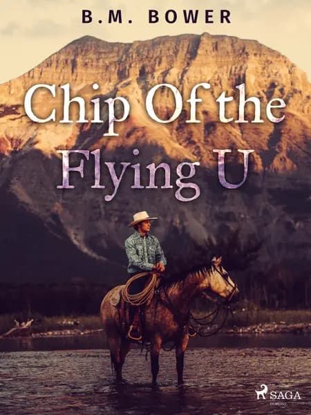 Chip Of the Flying U af B. M. Bower