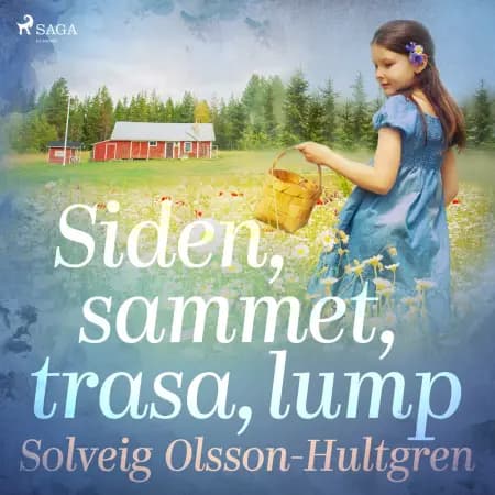 Siden, sammet, trasa, lump af Solveig Olsson-Hultgren