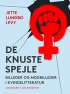 De knuste spejle. Billeder og modbilleder i kvindelitteratur af Jette Lundbo Levy