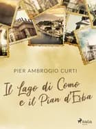Il Lago di Como e il Pian d'Erba af Pier Ambrogio Curti