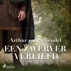 Een zwerver verliefd af Arthur van Schendel