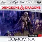 Dungeons & Dragons. Legenda o Drizztovi. Temný elf 1: Domovina