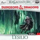 Dungeons & Dragons: L’esilio