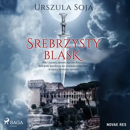 Srebrzysty blask af Urszula Soja