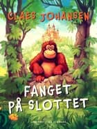 Fanget på slottet