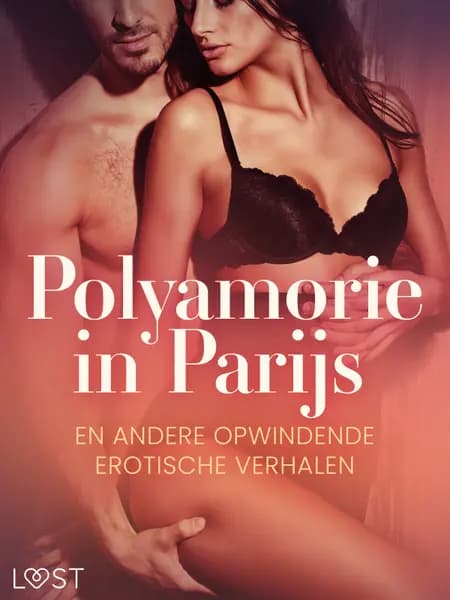 Polyamorie in Parijs en andere opwindende erotische verhalen af B. J. Hermansson