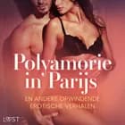 Polyamorie in Parijs en andere opwindende erotische verhalen af Camille Bech, Lisa Vild og B. J. Hermansson