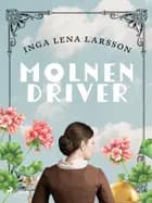 Molnen driver