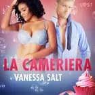 La cameriera - breve racconto erotico