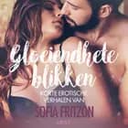 Gloeiendhete blikken: korte erotische verhalen van Sofia Fritzson af Sofia Fritzson