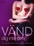 Vänd dig inte om: En samling av BDSM-erotik af Amira Daivari, Ashley B. Stone, Alicia Luz, Malin Edholm og Elena Lund