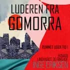 Luderen fra Gomorra af Inge Eriksen