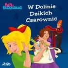 Bibi Blocksberg - W Dolinie Dzikich Czarownic af Kiddinx Media GmbH