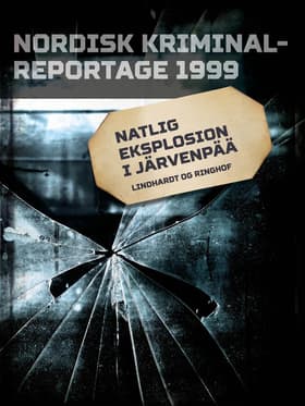 Natlig eksplosion i Järvenpää af Diverse