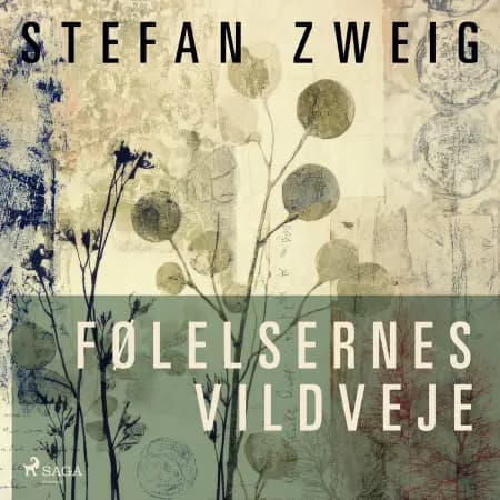 Følelsernes vildveje af Stefan Zweig