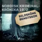 Bildsköne Bengtsson 