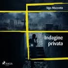 Indagine privata af Ugo Mazzotta