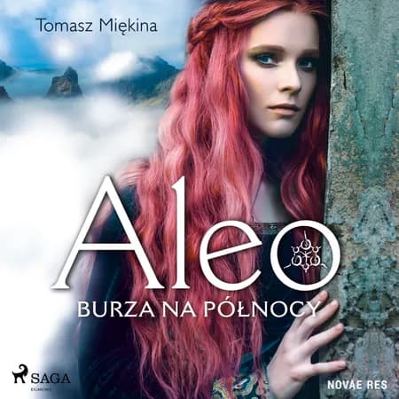 Burza na północy af Tomasz Miękina