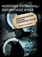 Jonseredgruppen dumpede pengeskabe i elven