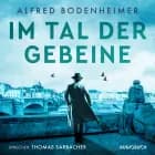 Im Tal der Gebeine af Alfred Bodenheimer
