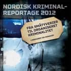 Fra småtyverier til organiseret kriminalitet