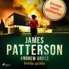 Þriðja gráða af James Patterson og Andrew Gross