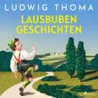 Lausbubengeschichten