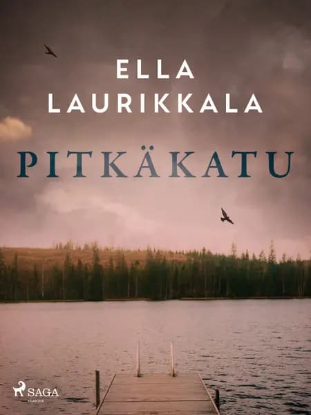 Pitkäkatu af Ella Laurikkala