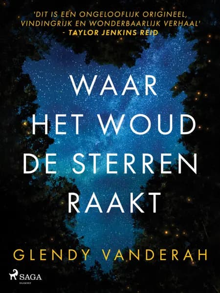 Waar het woud de sterren raakt af Glendy Vanderah
