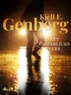 Ett ögonblicks verk af Kjell E. Genberg