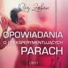 Pokój zabaw: opowiadania o (s)eksperymentujących parach