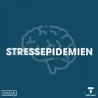 Hvad stresser det moderne menneske?