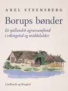 Borups bønder af Axel Steensberg
