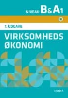 Virksomhedsøkonomi B & A1