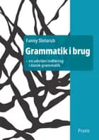 Grammatik i brug - en udvidet indføring i dansk grammatik af Fanny Slotorub
