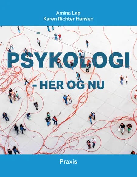 Psykologi - her og nu af Karen Richter Hansen