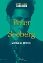 Peter Seeberg: Multimodal antologi af Peter Seeberg