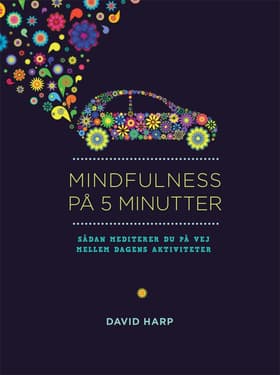 Mindfulness på 5 minutter af David Harp