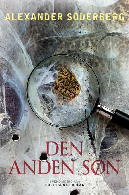 Den anden søn af Alexander Söderberg