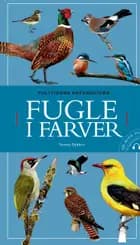 Fugle i farver af Tommy Dybbro