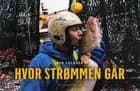 Hvor strømmen går