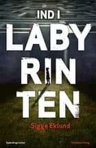 Ind i labyrinten af Sigge Eklund