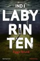 Ind i labyrinten