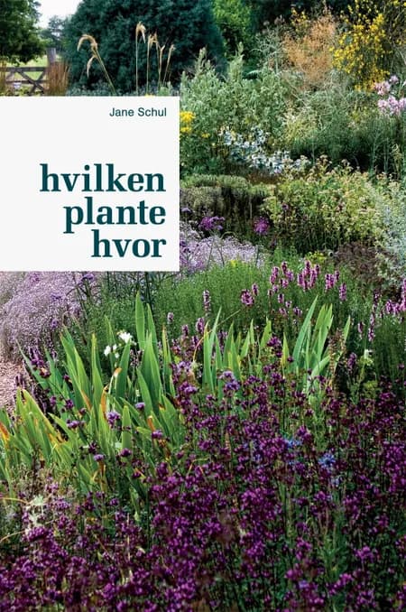 Hvilken plante hvor af Jane Schul