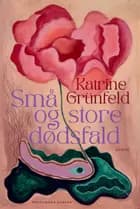 Små og store dødsfald af Katrine Grünfeld