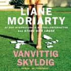 Vanvittig skyldig