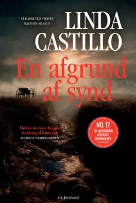En afgrund af synd af Linda Castillo