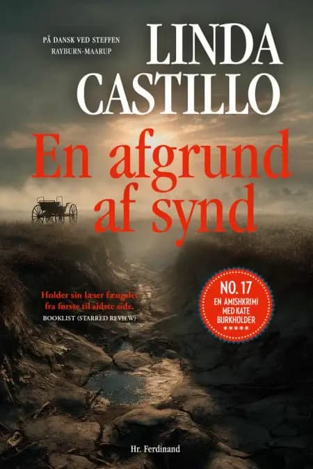 En afgrund af synd af Linda Castillo