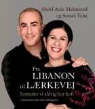 Fra Libanon til Lærkevej af Abdel Aziz Mahmoud, Gitte Løkkegaard og Souad Taha